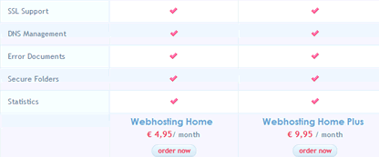 CSS styled table